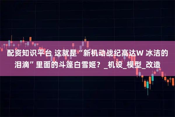 配资知识平台 这就是“新机动战纪高达W 冰洁的泪滴”里面的斗篷白雪姬?_机设_模型_改造